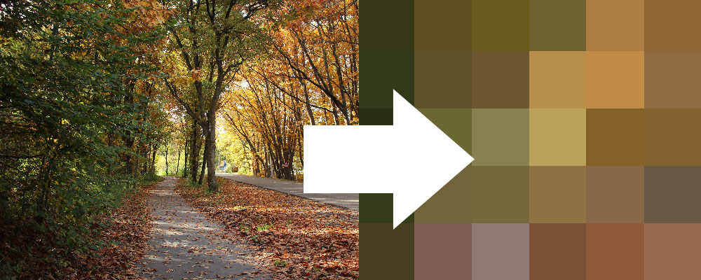 kleur inspiratie foto photoshop kleurpalet