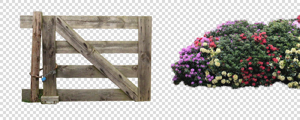 uitgeknipt foto bloemen hek