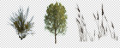 miniatuur transparante bomen